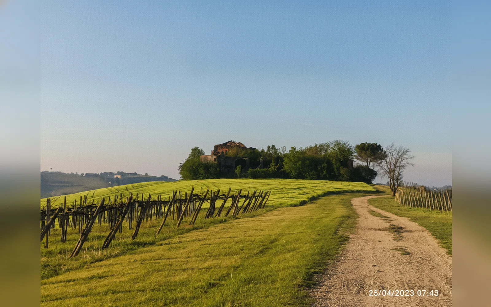 Tenuta Beatrice, Castell'Alfero (Piemonte)