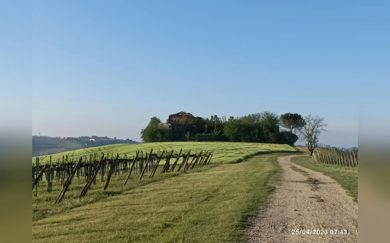 Esterni di Tenuta Beatrice, Castell'Alfero (Piemonte) (foto 1)