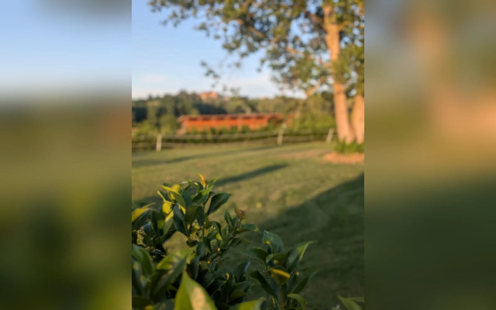 Esterni di Tenuta Beatrice, Castell'Alfero (Piemonte) (foto 77)