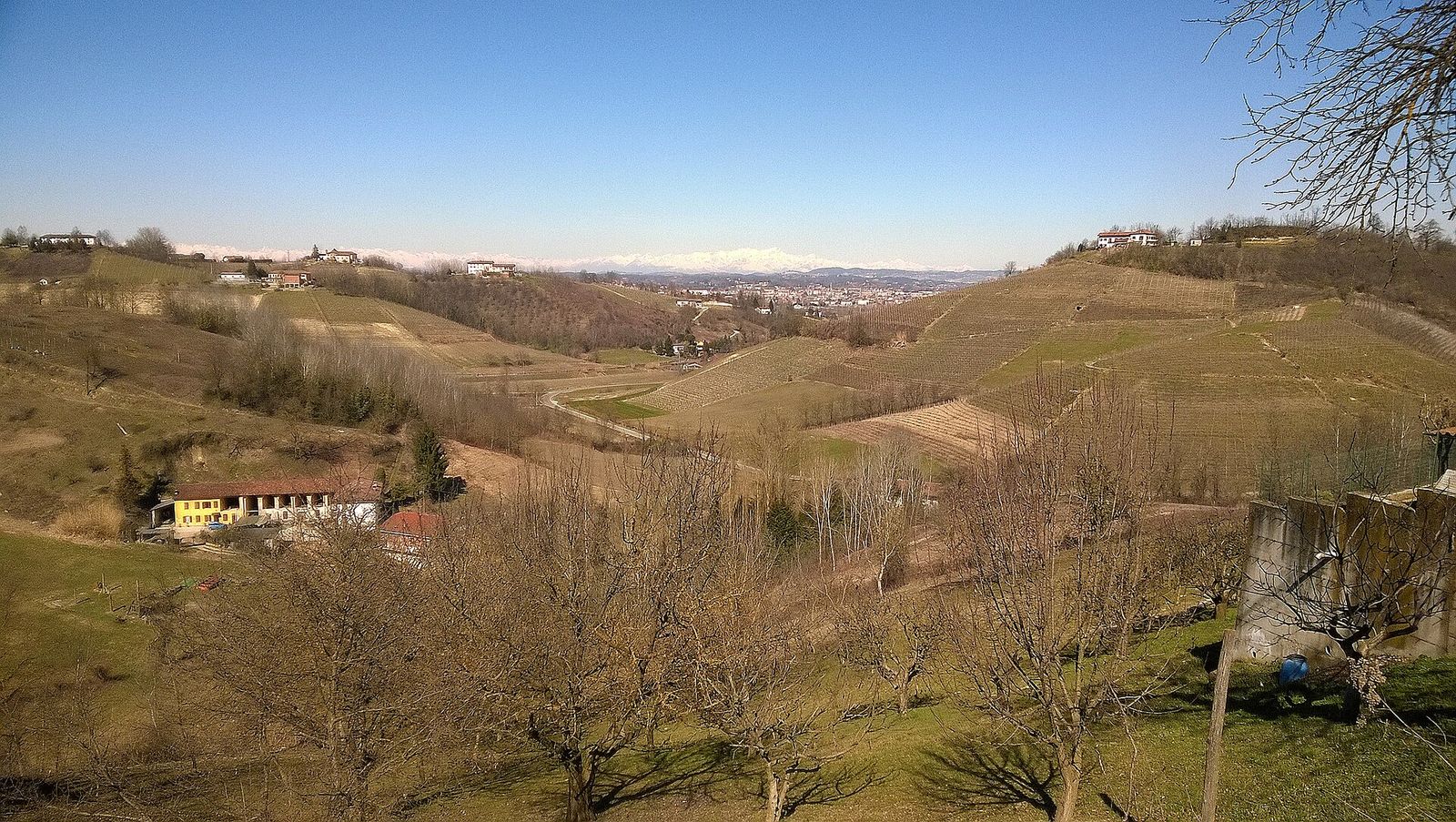 Colline e vigneti ancora spogli a inizio marzo, con la città di Asti e le Alpi innevate sullo sfondo
