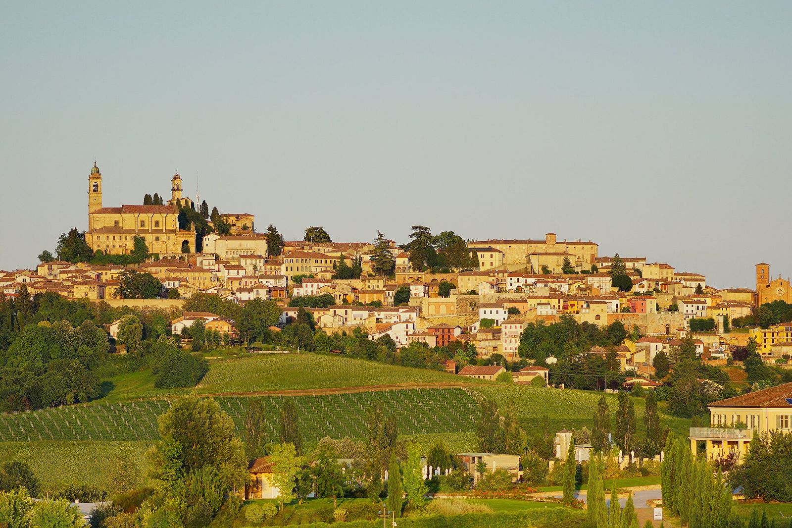 Il borgo di Vignale Monferrato sulla cima della collina, illuminato dalla luce del tardo pomeriggio, con i vigneti sottostanti