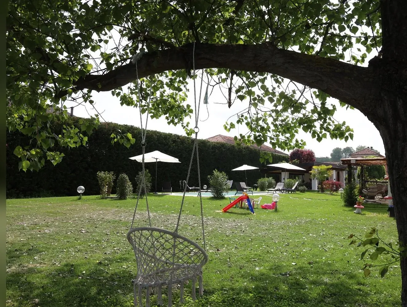 L'altalena sotto l'albero